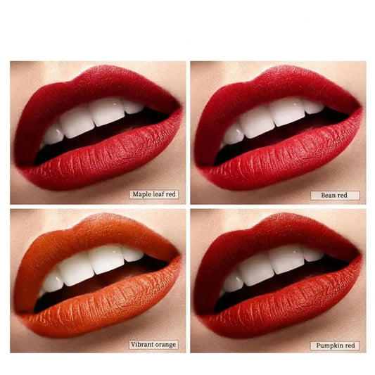 Queen Beauty Shopping 4pcs 4 Colors Set Matte Waterproof Lip Stick